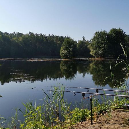 Ruhepol Fuer Mensch & Tier In Der Lueneburger Heide Apartment Vierhofen ภายนอก รูปภาพ