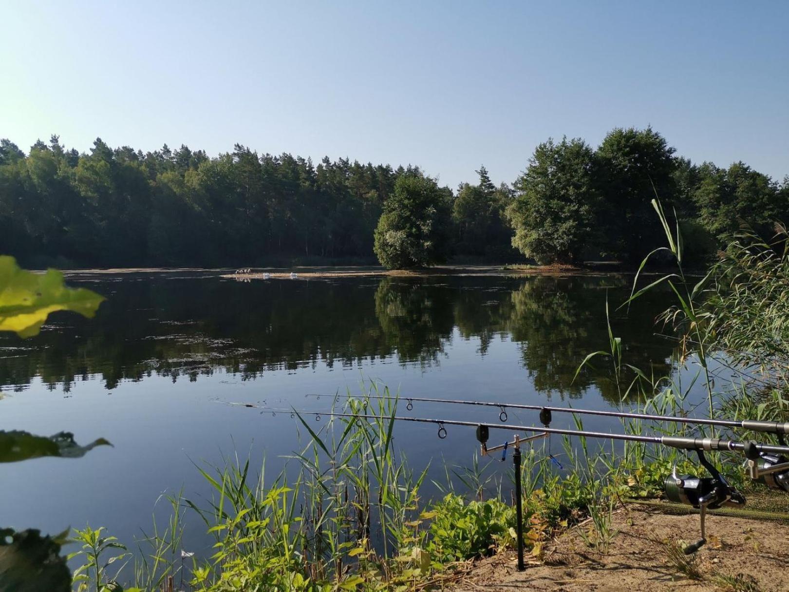 Ruhepol Fuer Mensch & Tier In Der Lueneburger Heide Apartment Vierhofen ภายนอก รูปภาพ